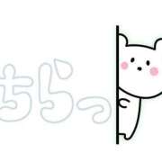 ヒメ日記 2025/08/19 13:56 投稿 あみ 三浦屋別館