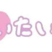 ヒメ日記 2025/11/20 12:16 投稿 あみ 三浦屋別館