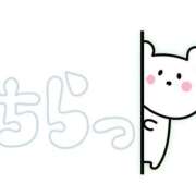 ヒメ日記 2026/03/19 01:06 投稿 あみ 三浦屋別館
