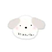 ヒメ日記 2026/05/14 00:26 投稿 あみ 三浦屋別館