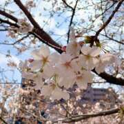 ヒメ日記 2025/04/01 11:18 投稿 しいな 横浜ミセスアロマ（ユメオト）