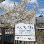 ヒメ日記 2025/04/07 11:37 投稿 しいな 横浜ミセスアロマ（ユメオト）