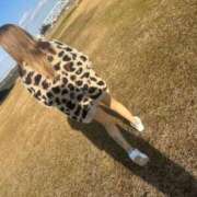 ヒメ日記 2025/01/06 07:44 投稿 おとは【姉系コース】 CLUB CANDY（鳥栖店）