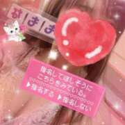 ヒメ日記 2025/01/31 11:54 投稿 ももな 池袋マリン本店