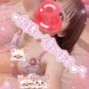 ヒメ日記 2025/10/31 07:24 投稿 ももな 池袋マリン本店