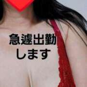 ヒメ日記 2025/02/11 11:34 投稿 のあ ギン妻パラダイス 十三店