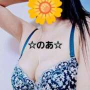 ヒメ日記 2025/02/11 15:32 投稿 のあ ギン妻パラダイス 十三店