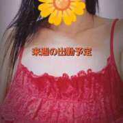 ヒメ日記 2025/02/21 18:26 投稿 のあ ギン妻パラダイス 十三店