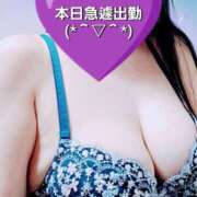 ヒメ日記 2025/03/13 10:30 投稿 のあ ギン妻パラダイス 十三店