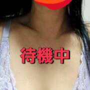 ヒメ日記 2025/03/31 15:41 投稿 のあ ギン妻パラダイス 十三店