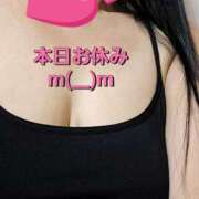 ヒメ日記 2025/04/11 11:35 投稿 のあ ギン妻パラダイス 十三店