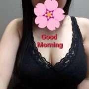 ヒメ日記 2025/04/12 11:07 投稿 のあ ギン妻パラダイス 十三店