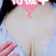 ヒメ日記 2025/04/13 13:52 投稿 のあ ギン妻パラダイス 十三店