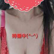 ヒメ日記 2025/04/20 14:41 投稿 のあ ギン妻パラダイス 十三店