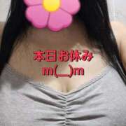 ヒメ日記 2025/05/23 11:27 投稿 のあ ギン妻パラダイス 十三店