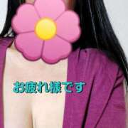 ヒメ日記 2025/06/06 12:12 投稿 のあ ギン妻パラダイス 十三店