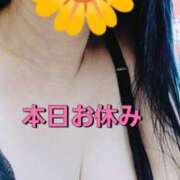 ヒメ日記 2025/06/13 11:42 投稿 のあ ギン妻パラダイス 十三店