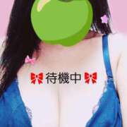 ヒメ日記 2025/06/15 14:02 投稿 のあ ギン妻パラダイス 十三店