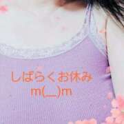 ヒメ日記 2025/06/24 14:00 投稿 のあ ギン妻パラダイス 十三店