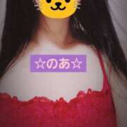 ヒメ日記 2025/07/29 11:33 投稿 のあ ギン妻パラダイス 十三店