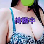 ヒメ日記 2025/07/29 14:24 投稿 のあ ギン妻パラダイス 十三店