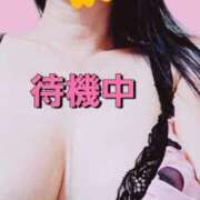 ヒメ日記 2025/08/09 14:56 投稿 のあ ギン妻パラダイス 十三店