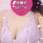 ヒメ日記 2025/08/12 15:34 投稿 のあ ギン妻パラダイス 十三店