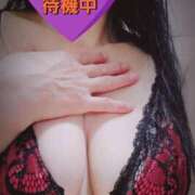 ヒメ日記 2025/08/14 15:53 投稿 のあ ギン妻パラダイス 十三店