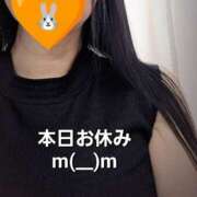 ヒメ日記 2025/10/03 11:42 投稿 のあ ギン妻パラダイス 十三店