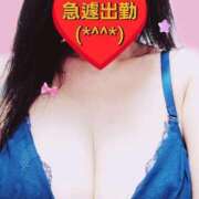 ヒメ日記 2025/10/28 11:49 投稿 のあ ギン妻パラダイス 十三店