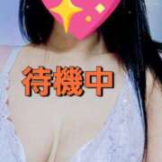 ヒメ日記 2025/11/16 14:29 投稿 のあ ギン妻パラダイス 十三店