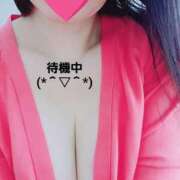 のあ ただいま待機中 ギン妻パラダイス 十三店