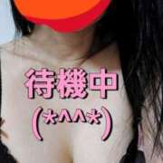 ヒメ日記 2026/01/15 15:25 投稿 のあ ギン妻パラダイス 十三店