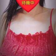 ヒメ日記 2026/02/28 13:44 投稿 のあ ギン妻パラダイス 十三店