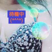 ヒメ日記 2026/03/24 15:17 投稿 のあ ギン妻パラダイス 十三店