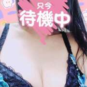 ヒメ日記 2026/06/13 13:36 投稿 のあ ギン妻パラダイス 十三店
