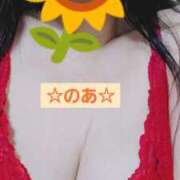 ヒメ日記 2026/06/22 15:26 投稿 のあ ギン妻パラダイス 十三店
