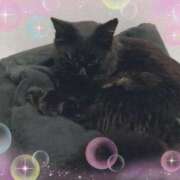 ヒメ日記 2024/12/12 22:24 投稿 みさと ギン妻パラダイス 十三店