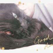 ヒメ日記 2025/01/13 23:20 投稿 みさと ギン妻パラダイス 十三店