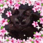 ヒメ日記 2025/01/28 23:57 投稿 みさと ギン妻パラダイス 十三店