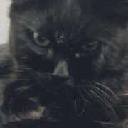 ヒメ日記 2025/03/06 23:01 投稿 みさと ギン妻パラダイス 十三店