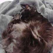 ヒメ日記 2025/03/14 23:46 投稿 みさと ギン妻パラダイス 十三店