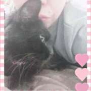 ヒメ日記 2025/03/30 20:15 投稿 みさと ギン妻パラダイス 十三店