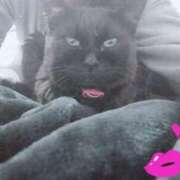 ヒメ日記 2025/04/01 23:39 投稿 みさと ギン妻パラダイス 十三店