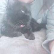 ヒメ日記 2025/04/18 22:01 投稿 みさと ギン妻パラダイス 十三店