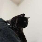 ヒメ日記 2025/04/25 23:59 投稿 みさと ギン妻パラダイス 十三店