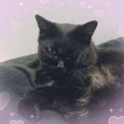 ヒメ日記 2025/05/10 23:46 投稿 みさと ギン妻パラダイス 十三店