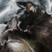 ヒメ日記 2025/08/10 22:37 投稿 みさと ギン妻パラダイス 十三店