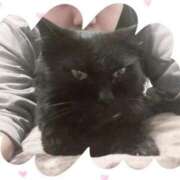 ヒメ日記 2025/10/04 23:52 投稿 みさと ギン妻パラダイス 十三店