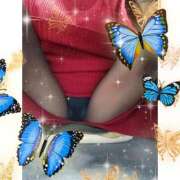 ヒメ日記 2025/11/11 11:35 投稿 みさと ギン妻パラダイス 十三店